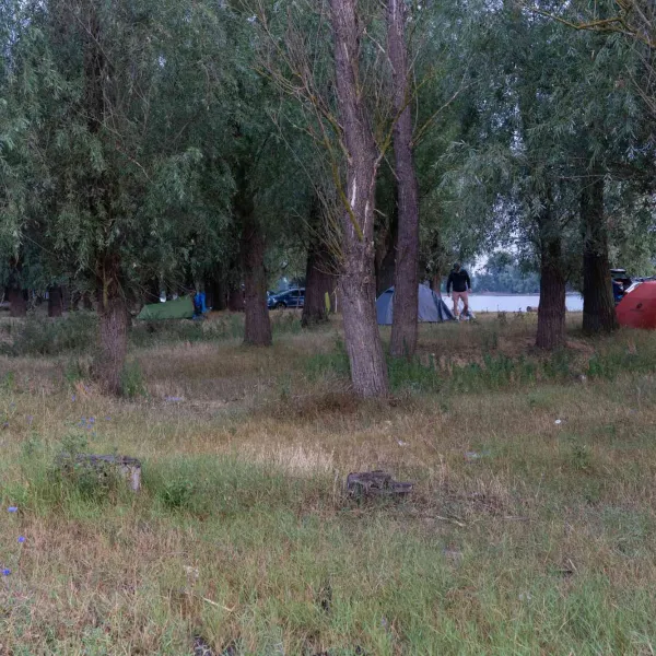 Cu caiacul în Delta Dunării, iulie 2022