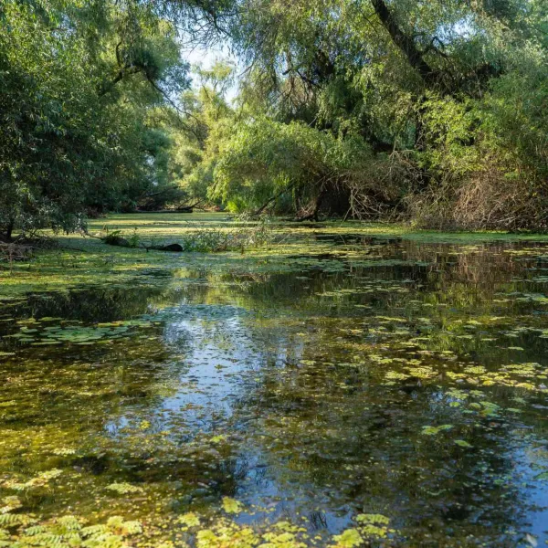 Cu caiacul în Delta Dunării, iulie 2022