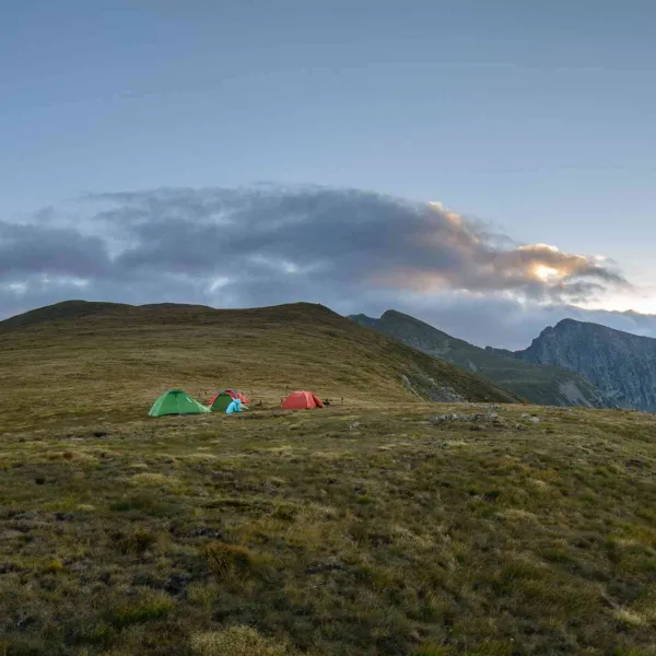 Vara în vestul Făgărașilor, MERINITO