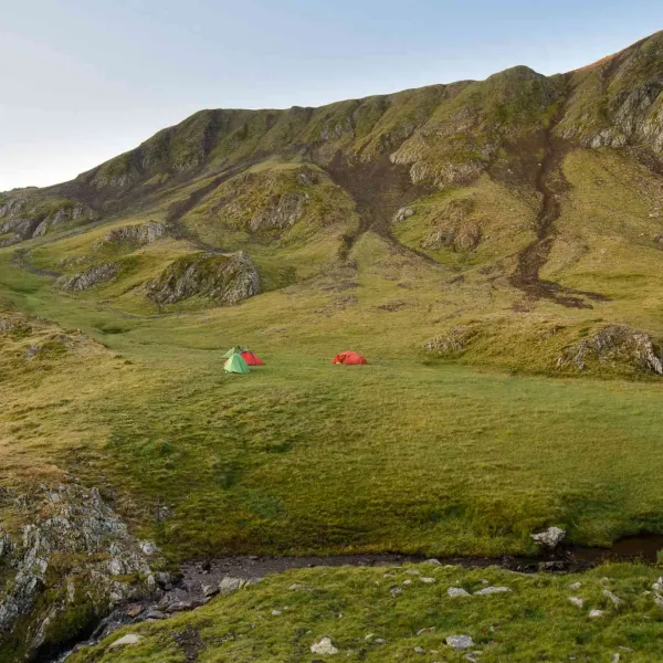 Vara în vestul Făgărașilor, MERINITO