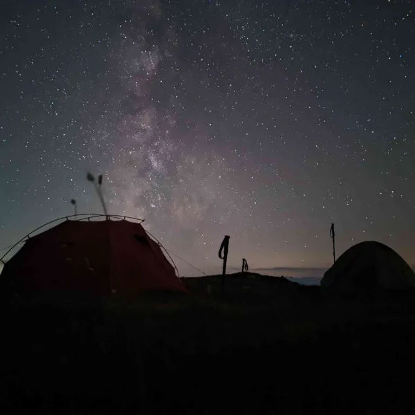 Vara în vestul Făgărașilor, MERINITO