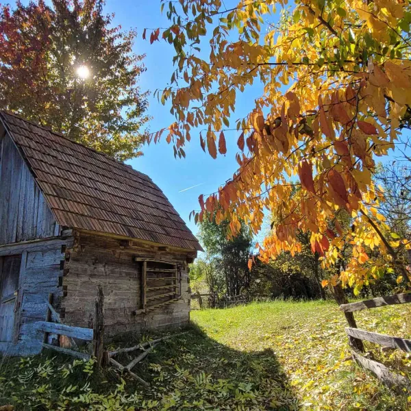 circuit_Gura_Sohodol-5