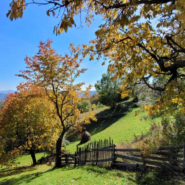 circuit_Gura_Sohodol-8