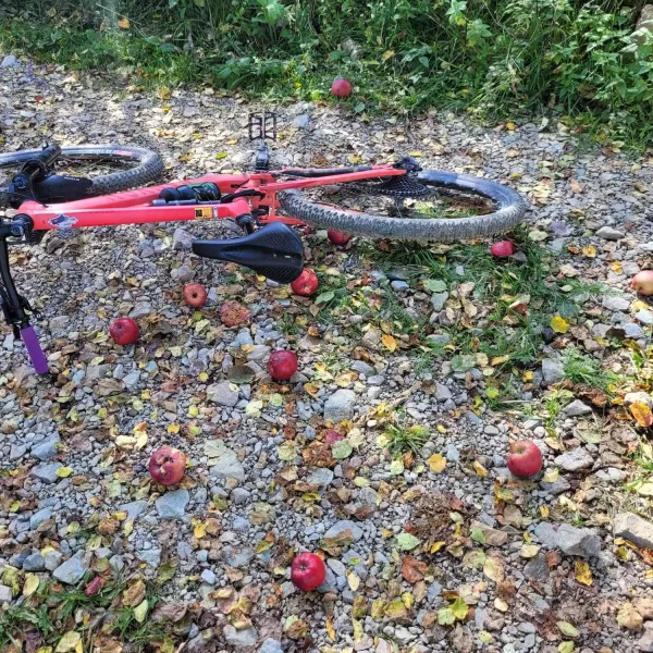 circuit_Gura_Sohodol-11