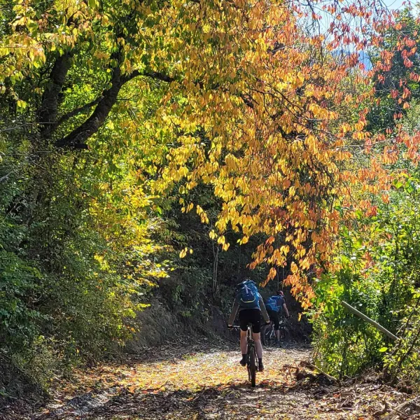 circuit_Gura_Sohodol-12