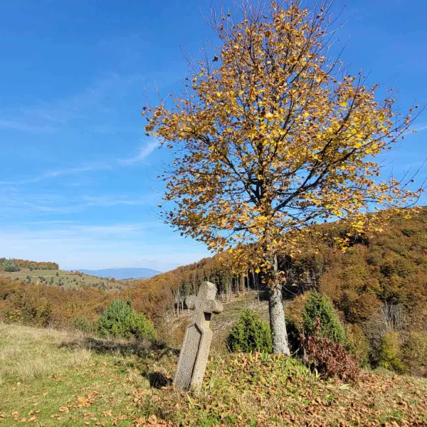 circuit_Gura_Sohodol-13