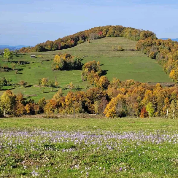 circuit_Gura_Sohodol-16