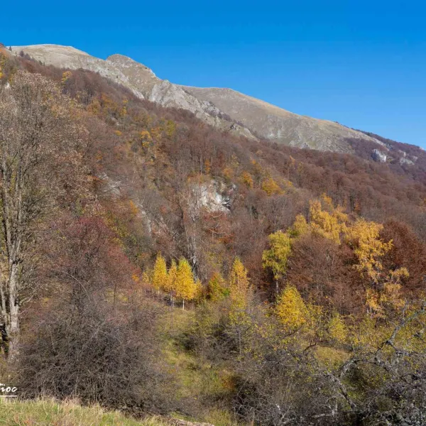 Toamna în Buila-Vânturarița