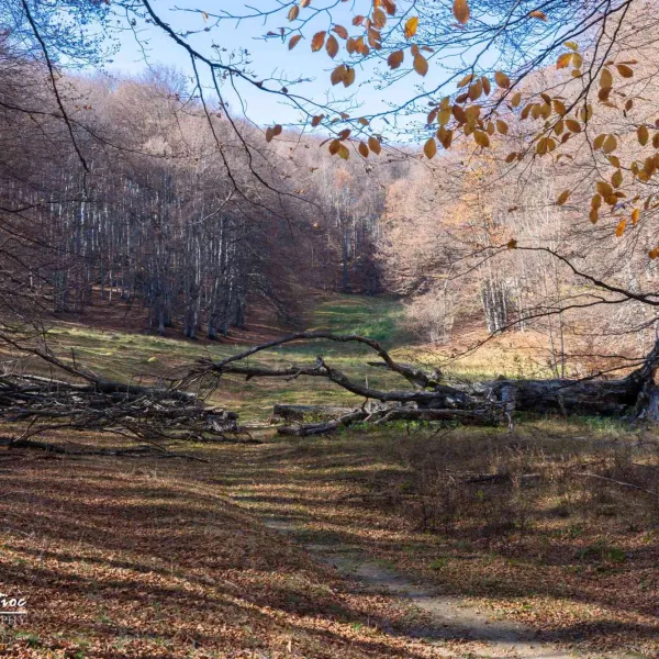 Toamna în Buila-Vânturarița