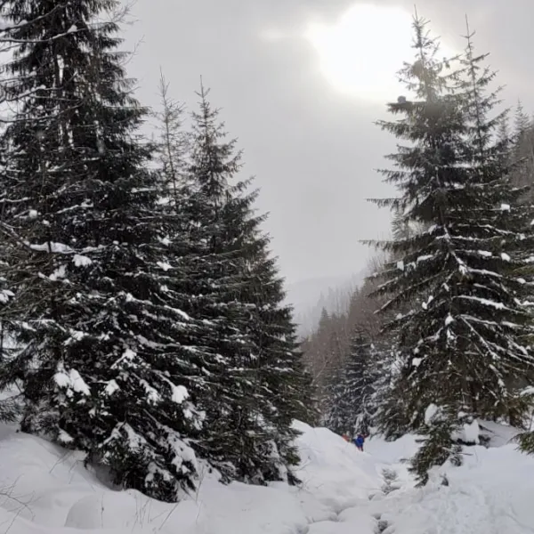 Schi de tură în munții Călimani