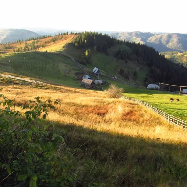 Chicera lui Matei - Otelesti