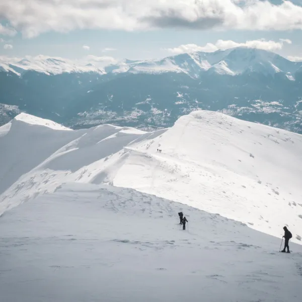 Maramuresului si Rodnei