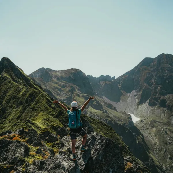 Fagarasii, mai altfel X