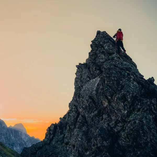 Fagarasii, mai altfel X