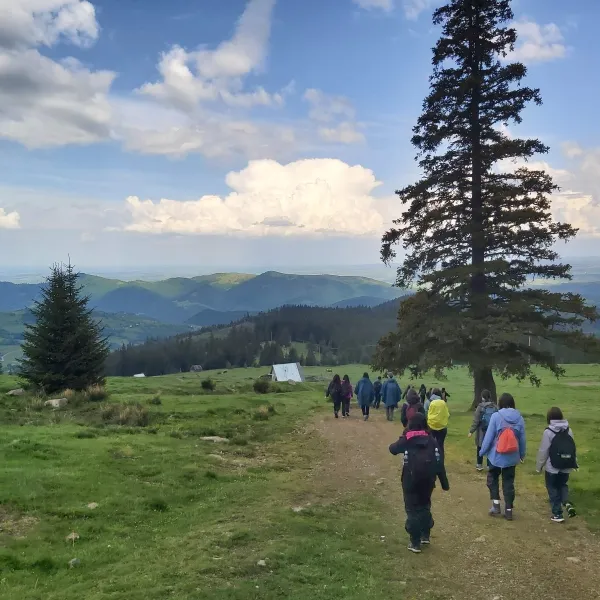 Drumul spre autocar de la cabana