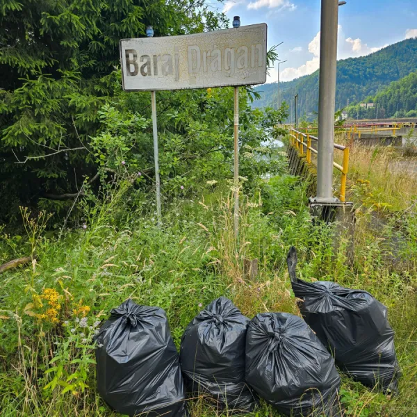 Igienizarea Lacului Dragan