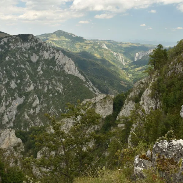 panorama de pe vârf