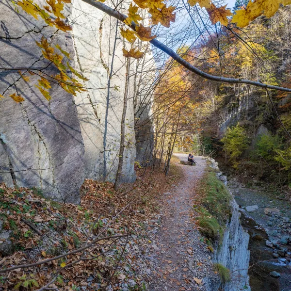 Toamna in M-tii Vrancei