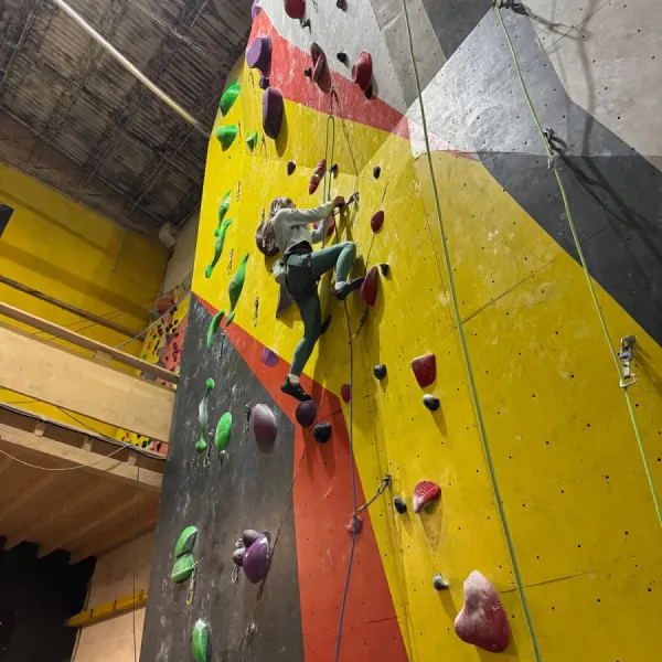 Atelier escalada