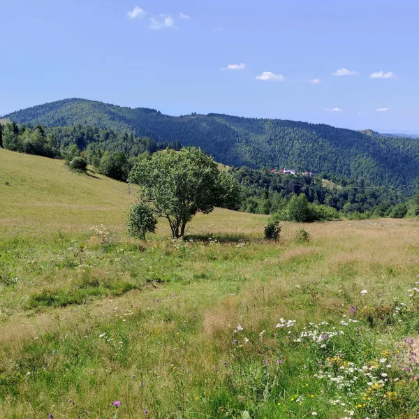 Satul Rasca si Vf. Magura