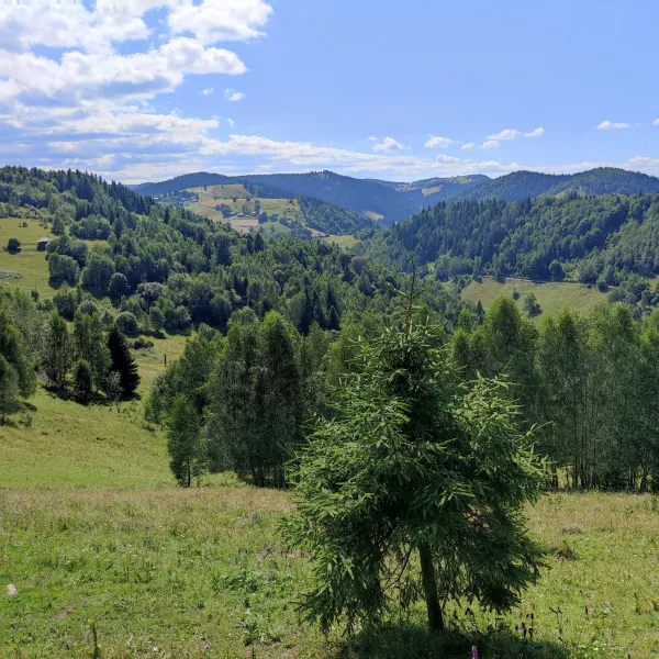 Spre Chicera lui Matei si Balta