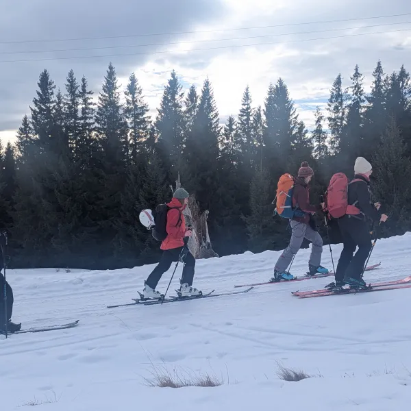 la deal pe schiuri din nou